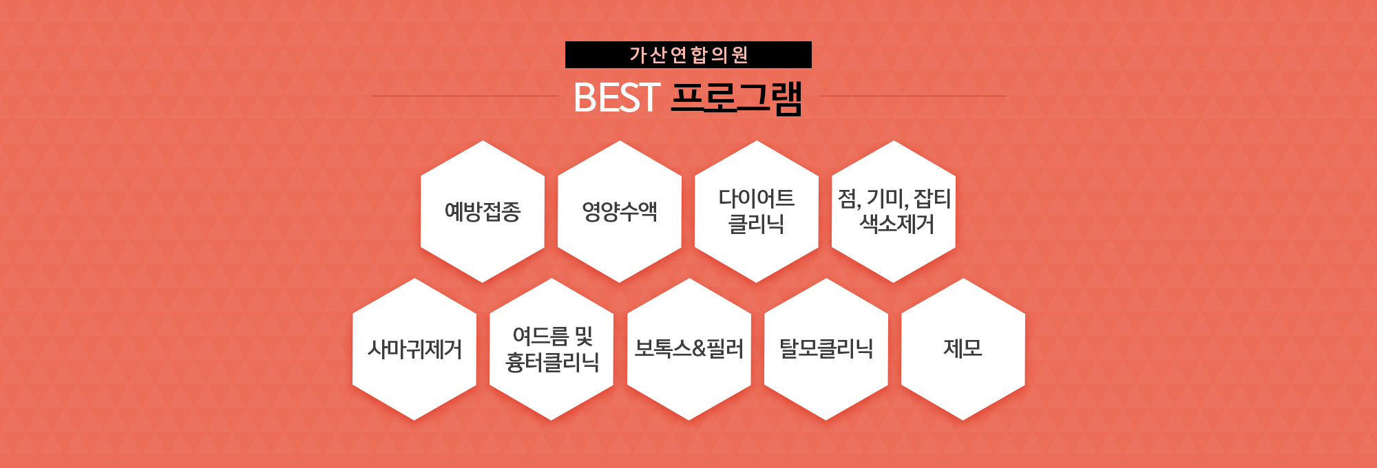 BEST프로그램